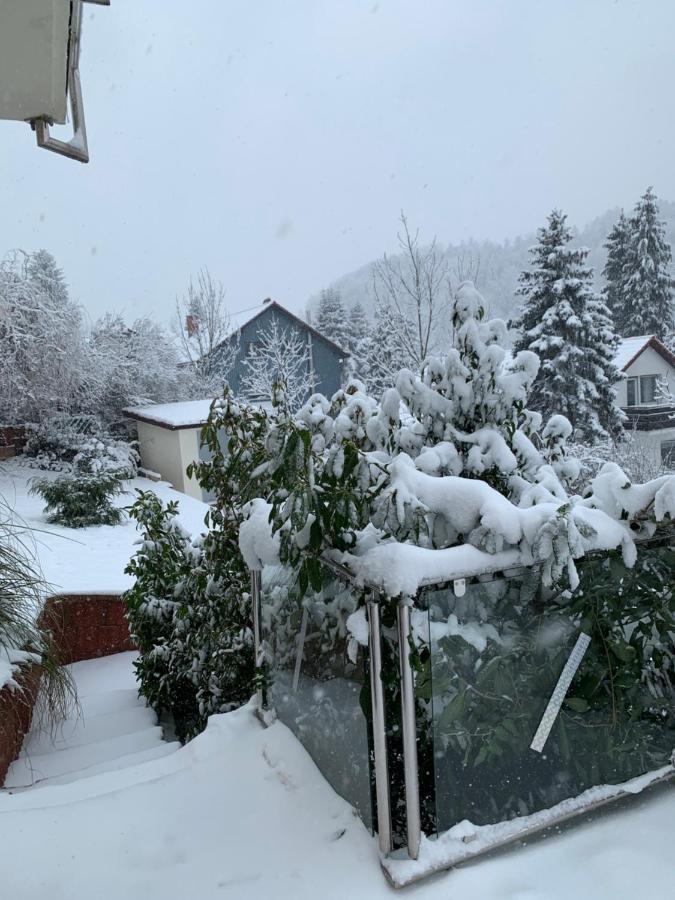 Apartment Sonnenterrasse Baden-Baden Luaran gambar