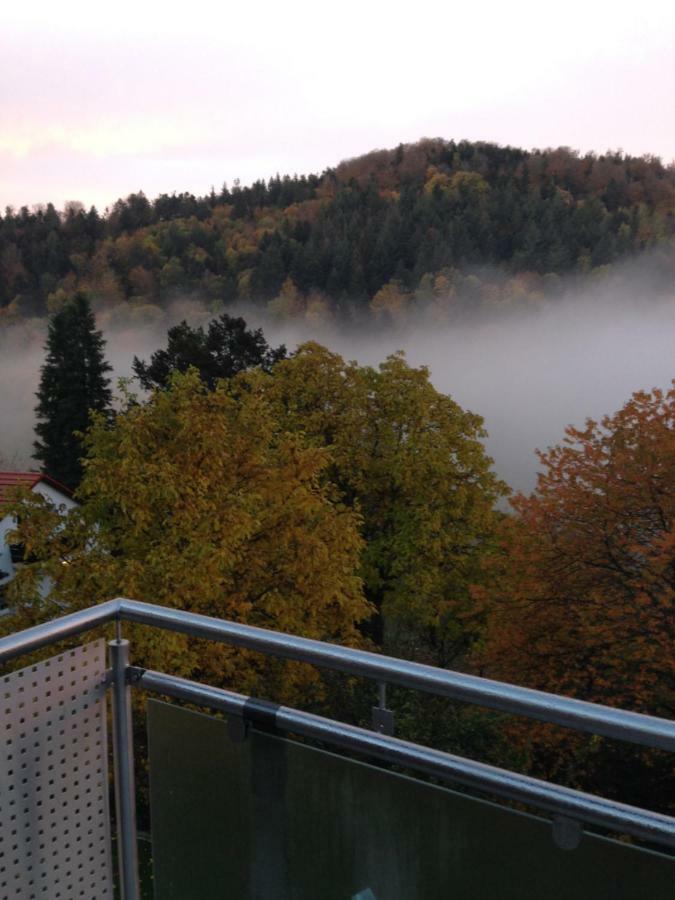 Apartment Sonnenterrasse Baden-Baden Luaran gambar